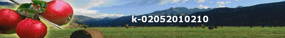 k-02052010210