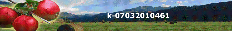 k-07032010461