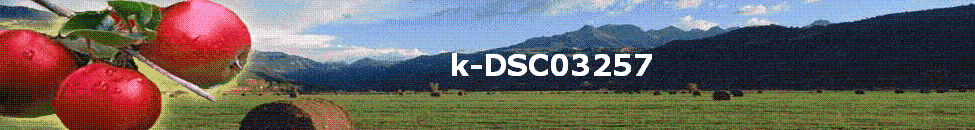 k-DSC03257