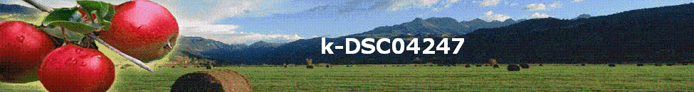 k-DSC04247