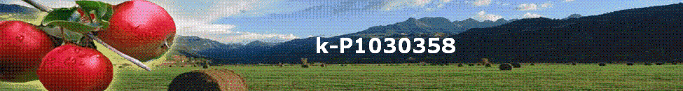 k-P1030358