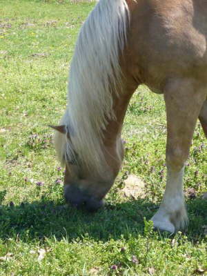 k-P1030130